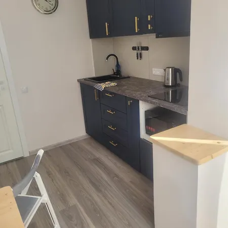 Cozy Akropolis Вильнюс