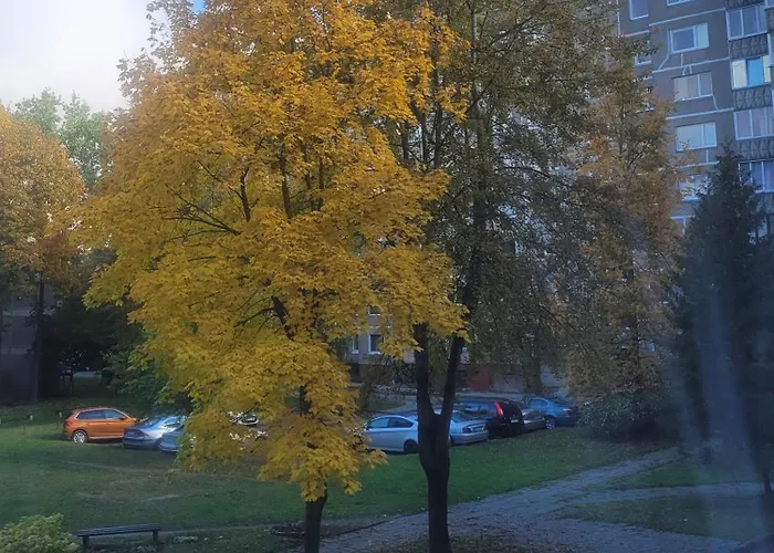 Butas Cozy Akropolis