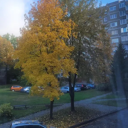 Apartament Cozy Akropolis